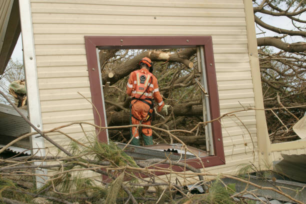 Professional Tree Services in Hesperia, CA